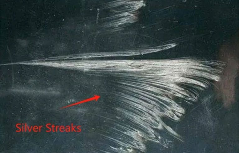 Streaks in Injection Molding